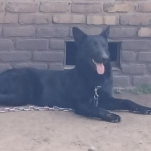 Meet your Posher, Clifton